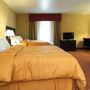 Фото 5 - Comfort Suites Northwest Near Six Flags