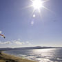 Фото 11 - Best Western Plus Monterey Beach Resort