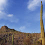 Фото 12 - Loews Ventana Canyon Resort