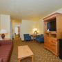 Фото 6 - Best Western Durango Inn & Suites