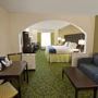 Фото 9 - Holiday Inn Express and Suites - Stroudsburg