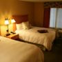 Фото 8 - Hampton Inn & Suites Lathrop