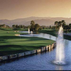 Фото 6 - The Garden Vista Hotel Palm Springs