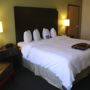 Фото 7 - Hampton Inn & Suites Anaheim/Garden Grove