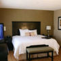 Фото 12 - Hampton Inn & Suites Chicago/Saint Charles