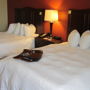 Фото 6 - Hampton Inn Houston-Willowbrook