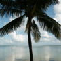 Фото 2 - Hilton Key Largo Resort