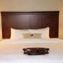 Фото 3 - Hampton Inn & Suites Berkshires-Lenox