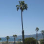 Фото 14 - Ocean Lodge Santa Monica Beach Hotel