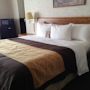 Фото 2 - Comfort Inn Watsonville