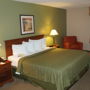 Фото 4 - Quality Inn & Suites Near Fairgrounds Ybor City
