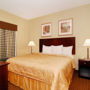 Фото 2 - Comfort Inn Rochester