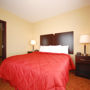 Фото 7 - Comfort Inn & Suites Saratoga Springs
