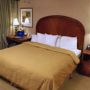 Фото 5 - Homewood Suites by Hilton Dallas-Irving-Las Colinas