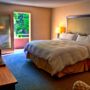 Фото 9 - The Woodlands Inn, an Ascend Hotel Collection Member