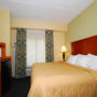 Фото 4 - Comfort Inn & Suites Chattanooga