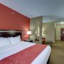 Фото 4 - Comfort Suites Pearland