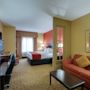 Фото 6 - Comfort Suites Pearland