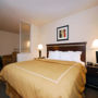 Фото 6 - Comfort Suites Grand Prairie