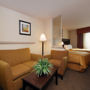 Фото 9 - Comfort Suites Grand Prairie