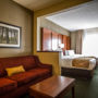Фото 5 - Comfort Suites Madison
