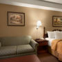 Фото 11 - Days Inn & Suites Midtown