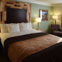 Фото 10 - Comfort Inn & Suites Durango