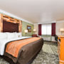 Фото 11 - Comfort Inn & Suites Durango