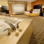 Фото 11 - Holiday Inn Express & Suites Manassas