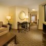 Фото 14 - Holiday Inn Express & Suites Manassas