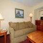 Фото 12 - Comfort Inn & Suites Near Univ. of Maryland