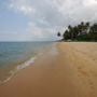 Фото 14 - Thanh Kieu Beach Resort