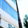 Фото 2 - Palm Hotel