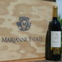 Фото 5 - Marianne Wine Estate