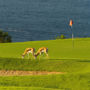 Фото 12 - Mossel Bay Golf Lodge