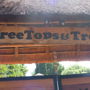 Фото 8 - Treetops & Treats Guest House